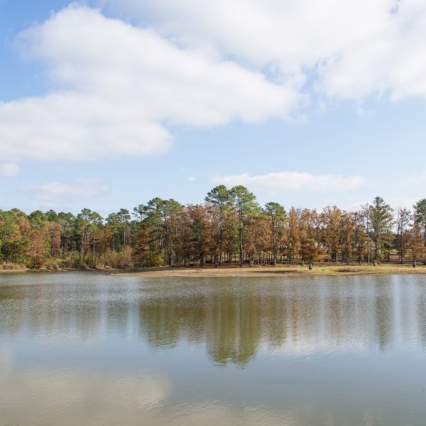 Toledo Bend Reservoir